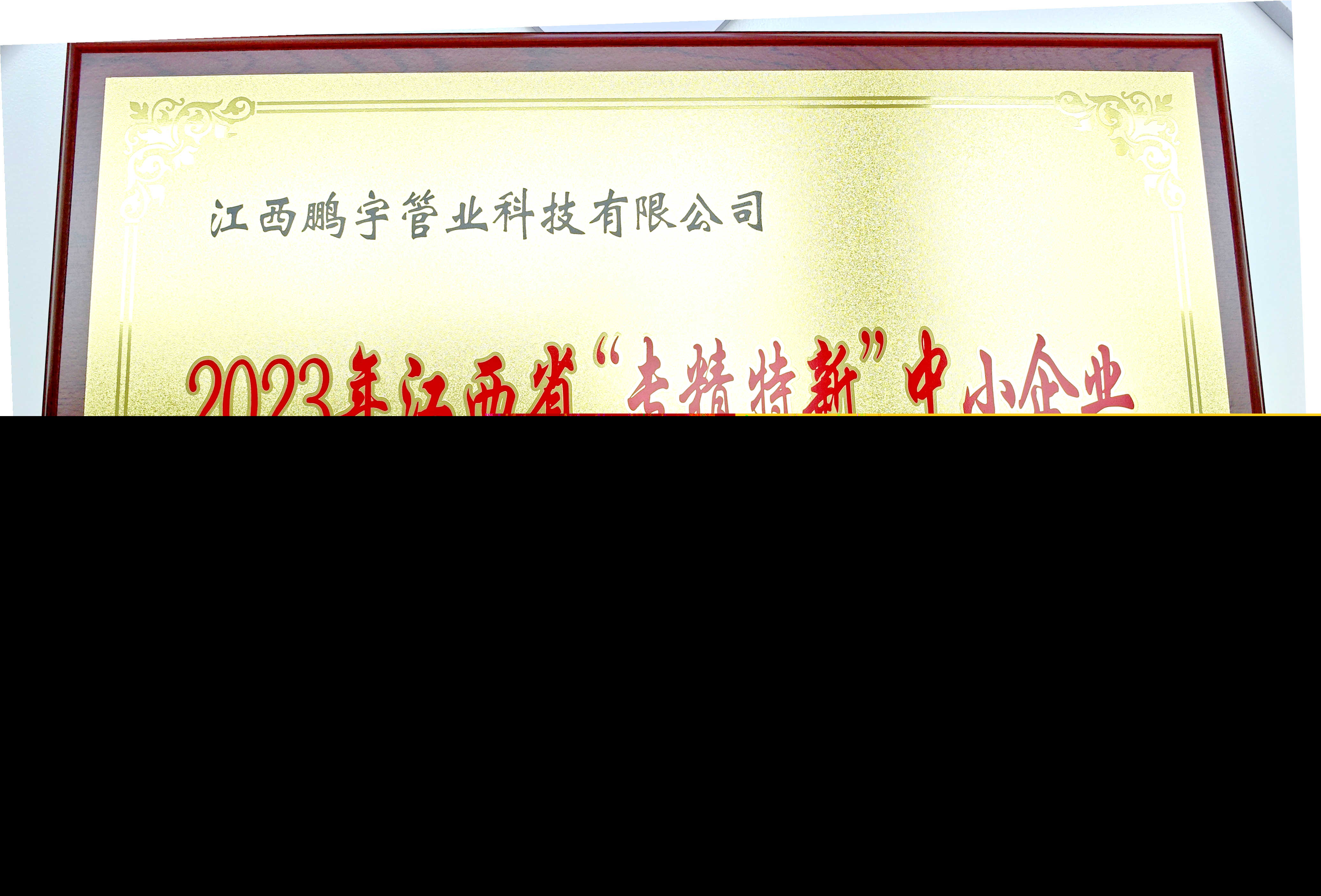 圖四 2023年鵬宇管業(yè)獲得江西省”專精特新“中小企業(yè).jpg