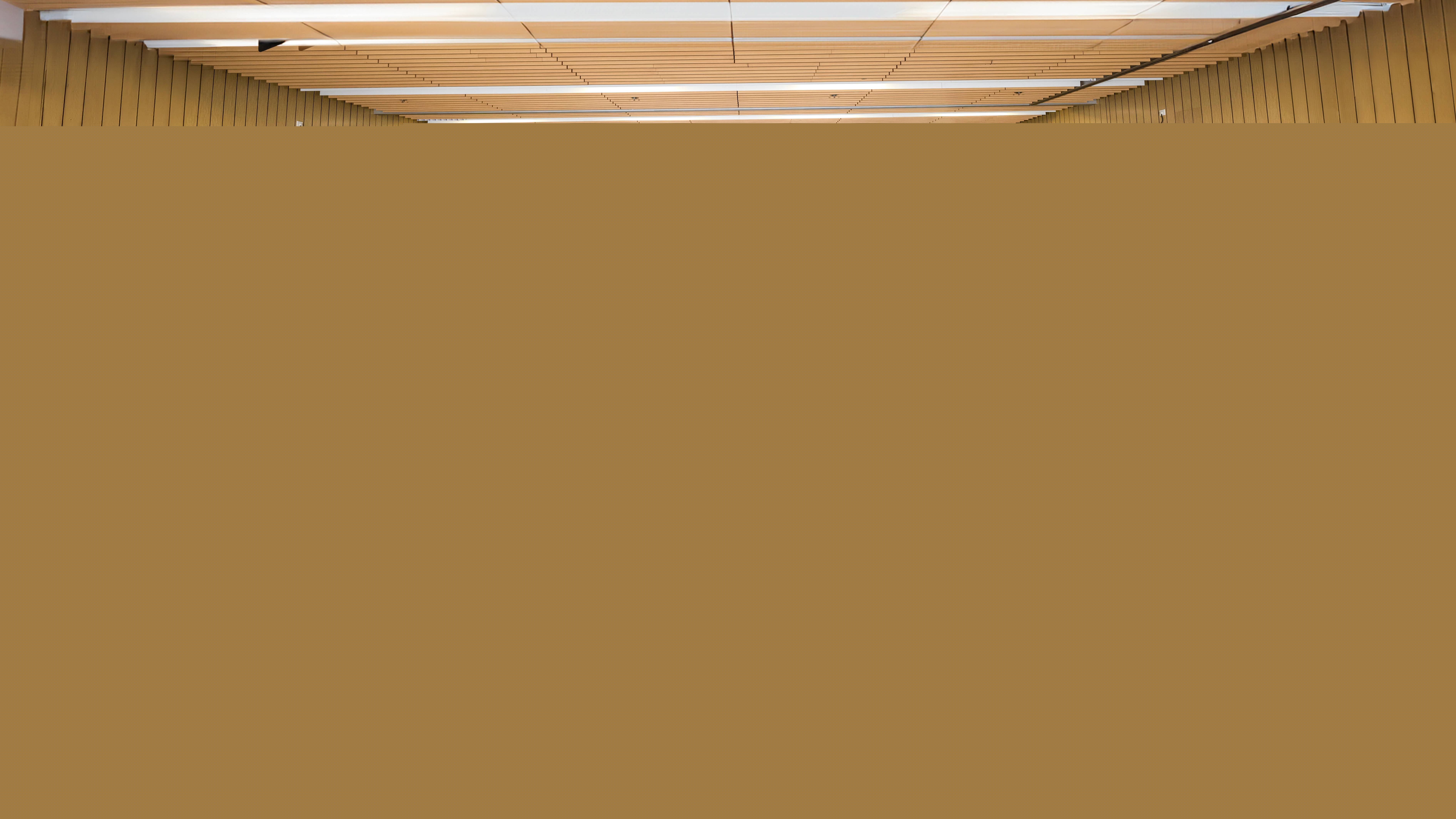 ROY_5687 拷貝(1).jpg