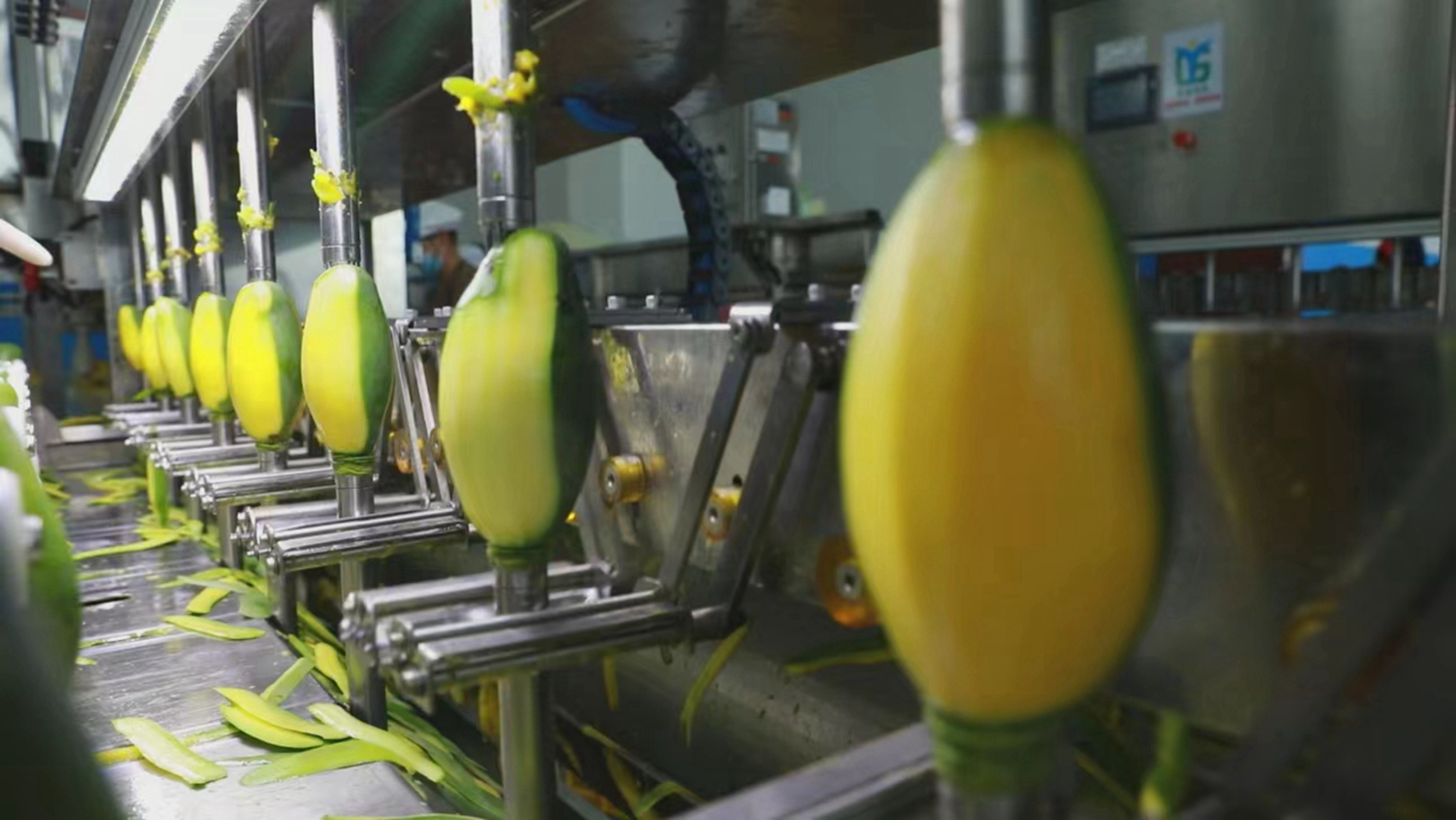 3、芒果加工。黃尚展 攝_編輯.jpg