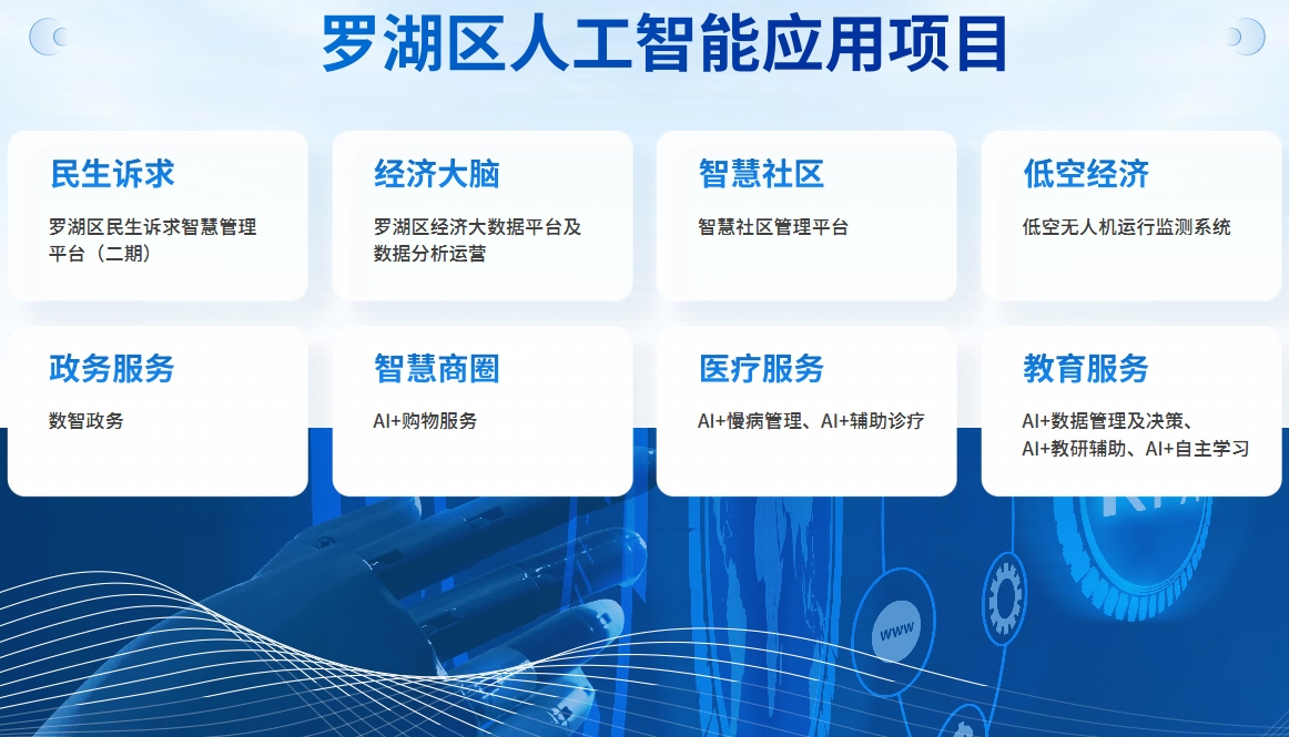 4、羅湖區(qū)人工智能應(yīng)用項目。.png