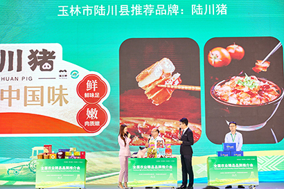 圖2:廣西陸川豬推介(主辦方供圖).jpg