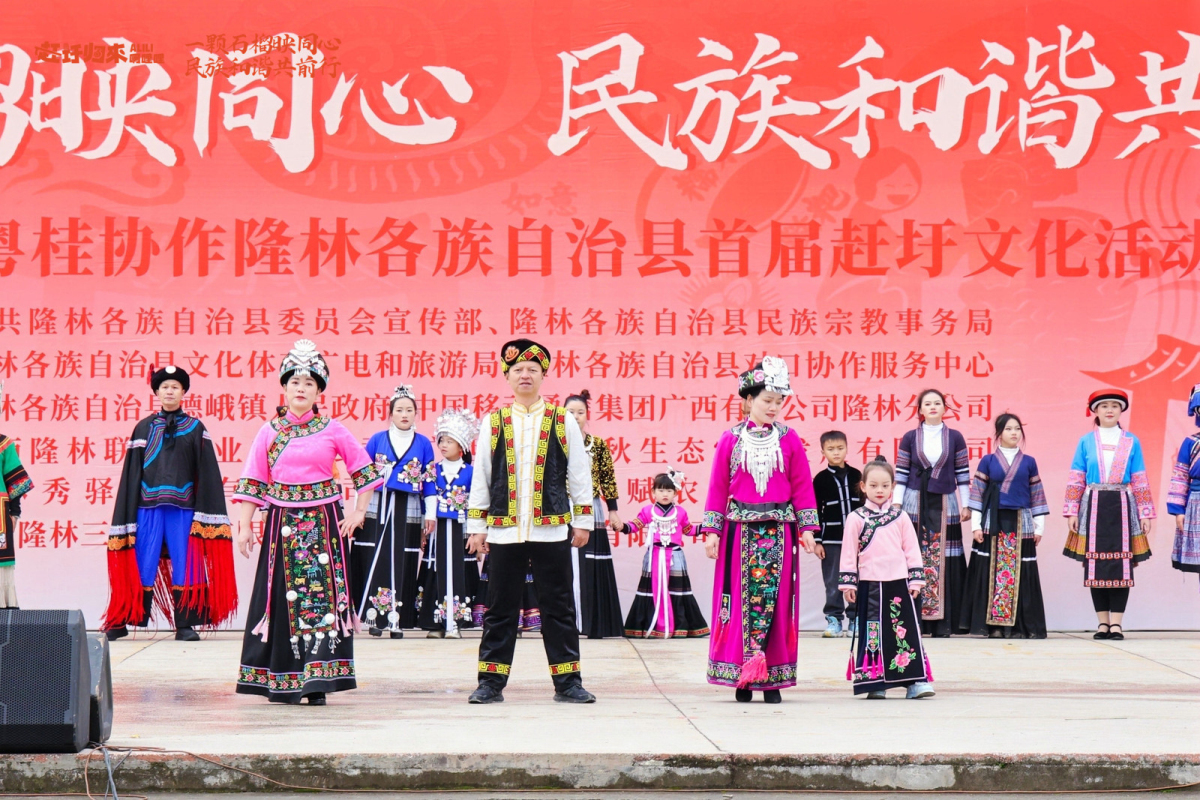 3、絢麗多彩的民族服飾，民族霓裳秀——《花一樣的民族》(鄢天紅 攝).jpg