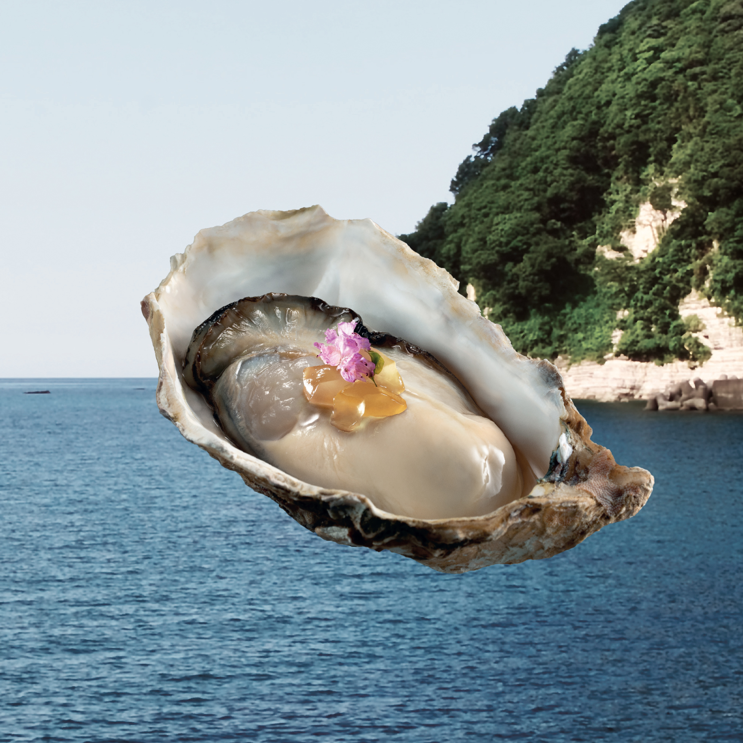 兵庫(kù)縣武士活蠔伴清酒凍 Samurai Oyster (Hyōgo) with Sake Jelly.jpg