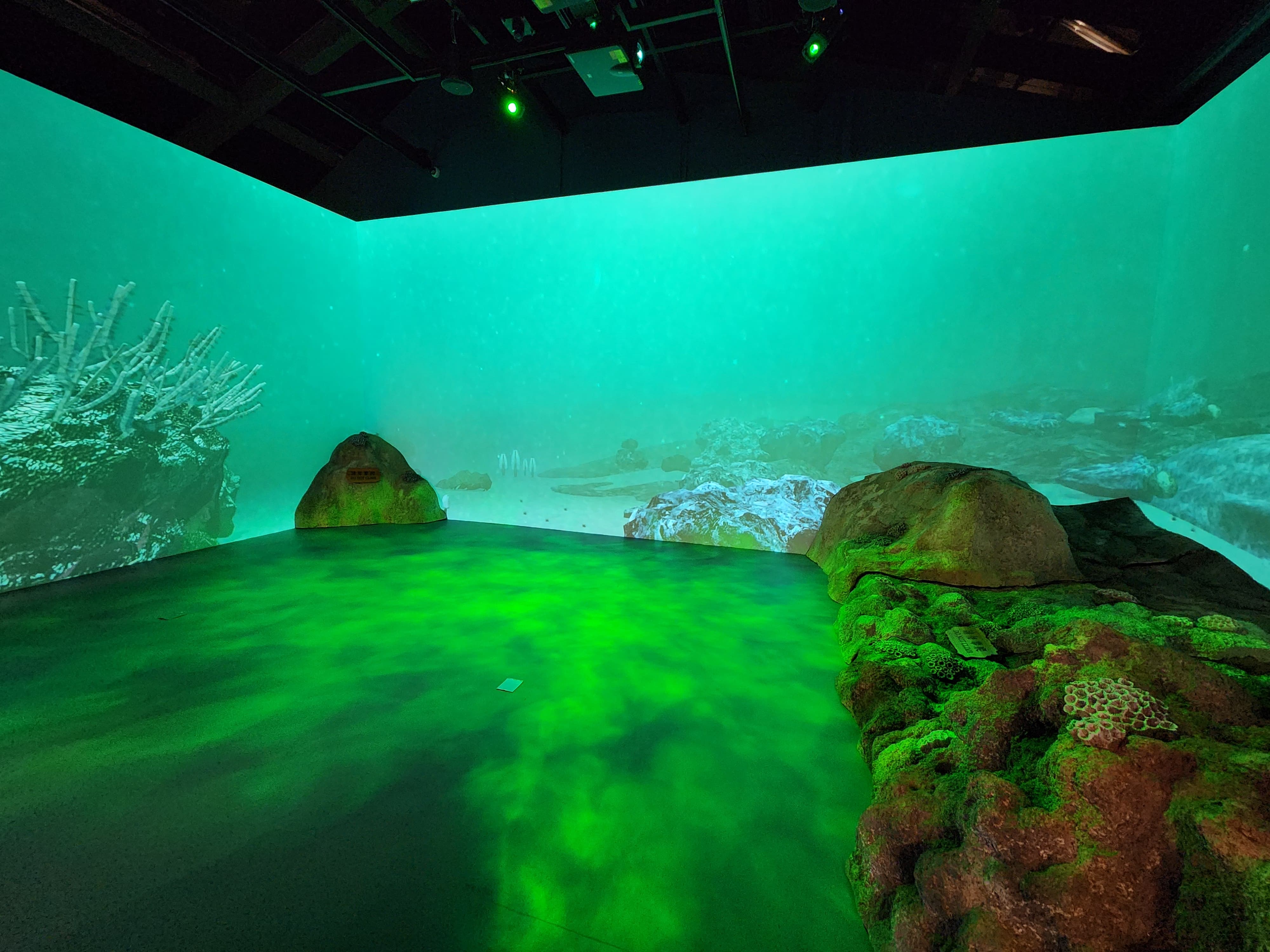 WhatsApp Image 2025-02-26 at 17.05.34 (1).jpeg