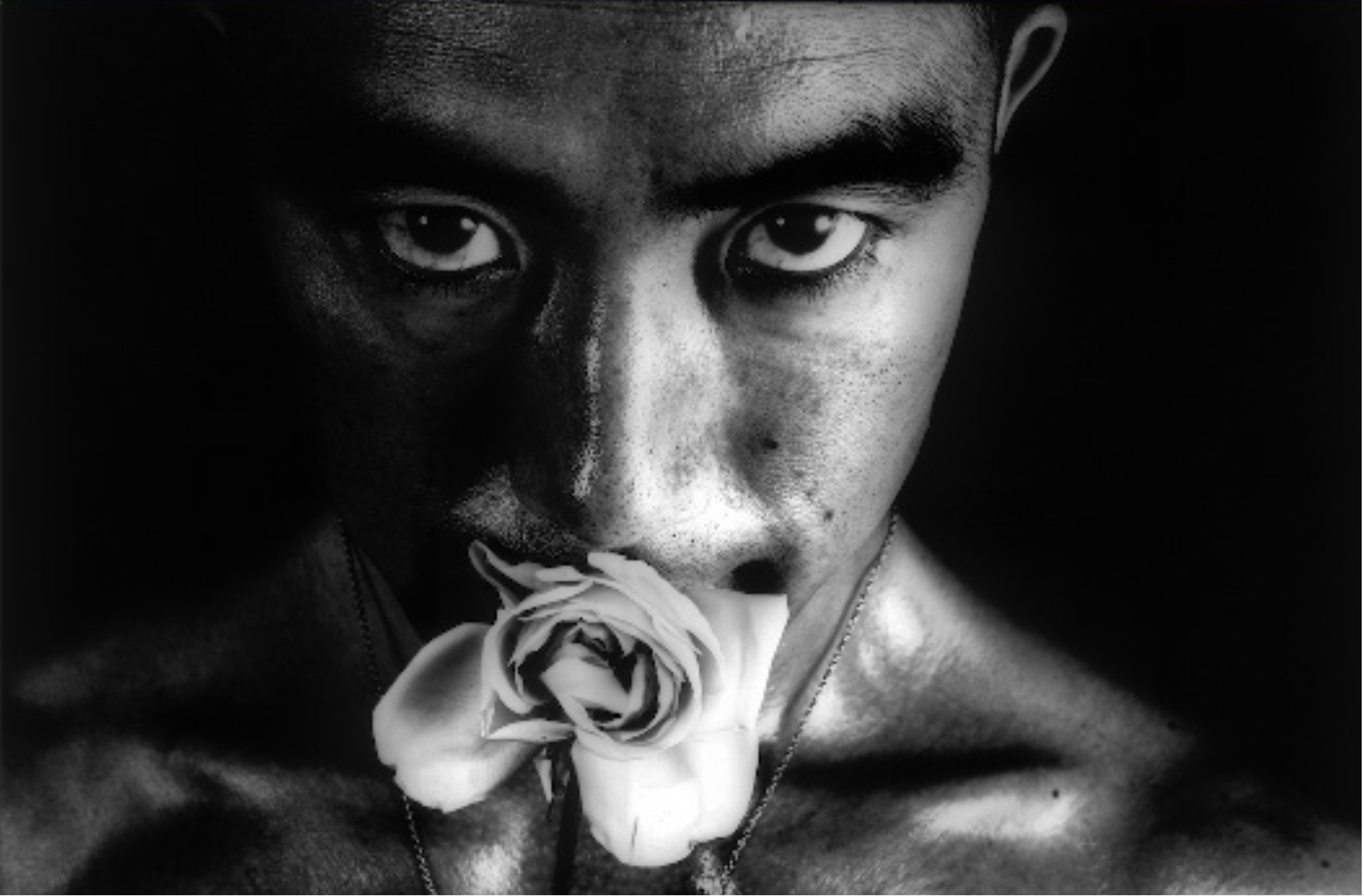 Eikoh Hosoe, Ordeal by Roses .jpg