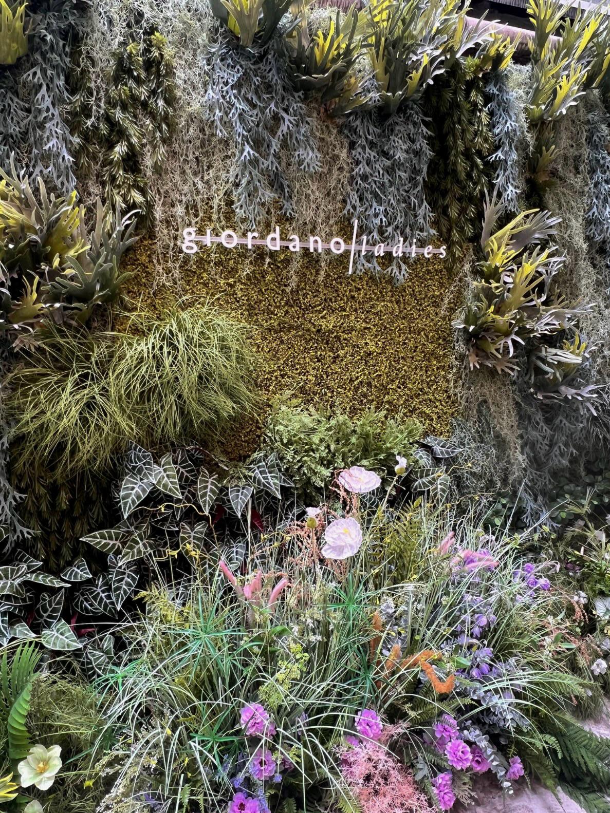 WhatsApp Image 2025-04-24 at 14.47.19.jpeg