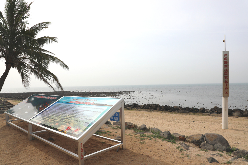 3、徐聞法院聯(lián)合檢察院在徐聞珊瑚礁國(guó)家級(jí)自然保護(hù)區(qū)豎立全國(guó)首個(gè)珊瑚礁司法保護(hù)令標(biāo)牌。.jpg