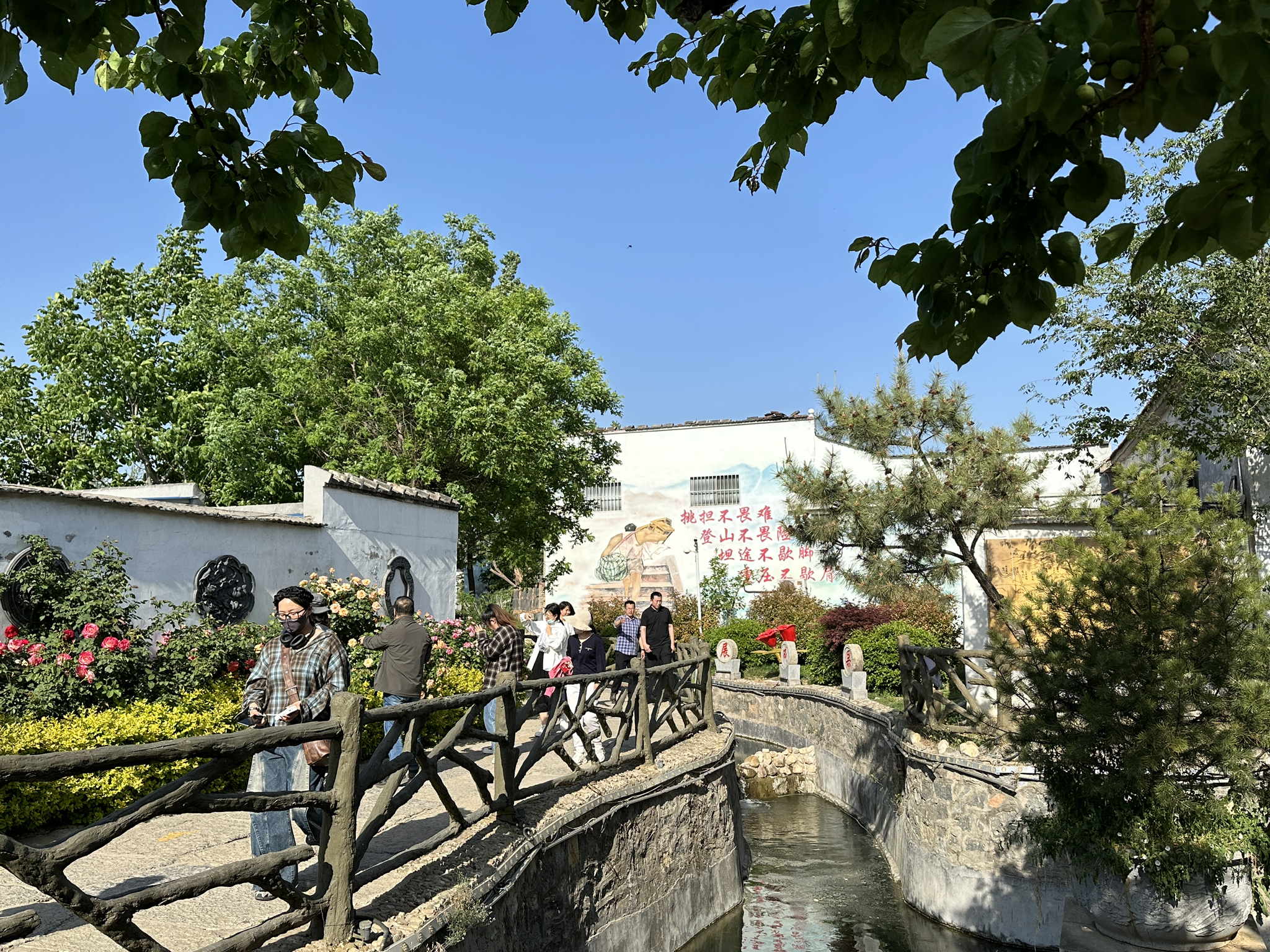 王林坡民俗生活體驗區(qū)風景(秦浩攝) _看圖王.jpg