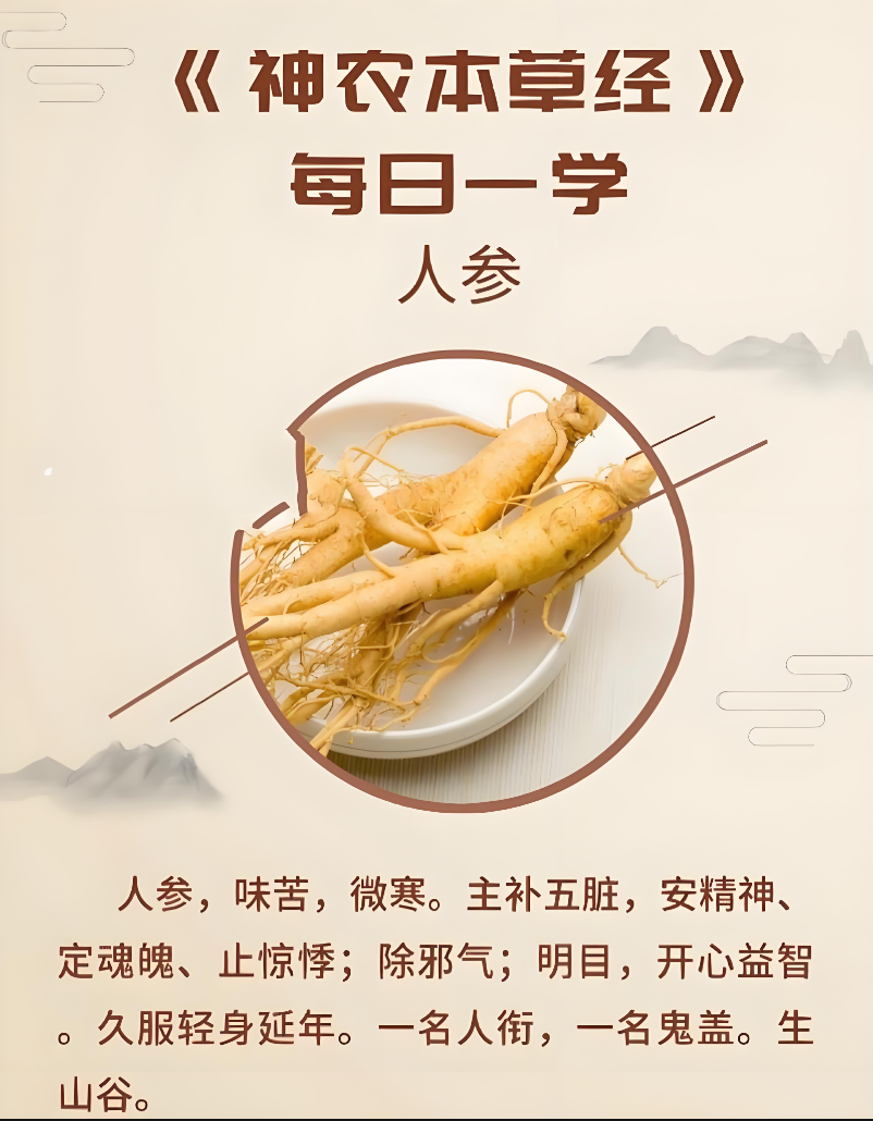 圖說一：《神農(nóng)本草經(jīng)》關(guān)於人參的記載.jpg
