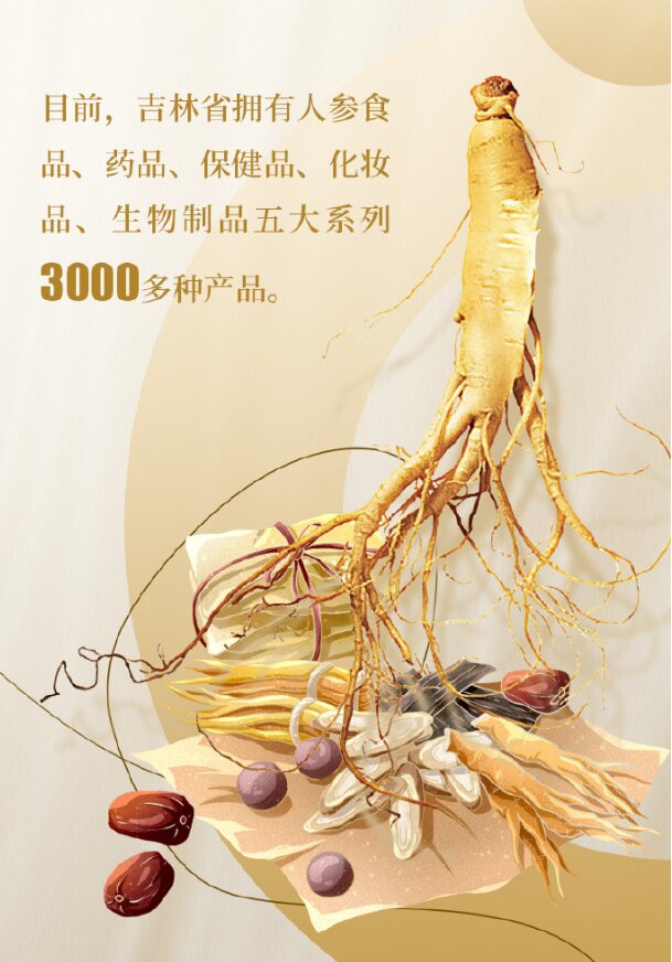 圖說二：吉林的人參產(chǎn)業(yè)正走向新的發(fā)展階段.JPG