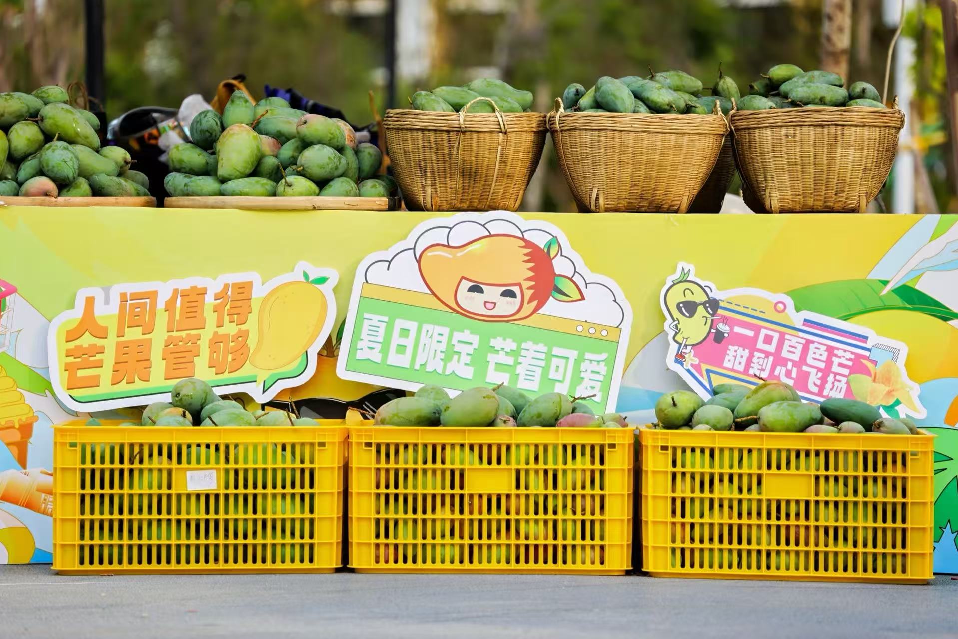 2、百色芒果（方鹽 攝）.jpg