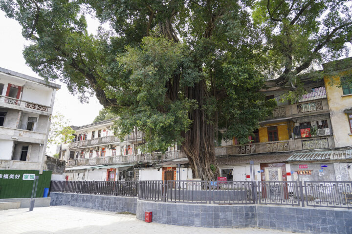 3、國(guó)民革命軍東征 周恩來(lái)演講舊址2.jpg