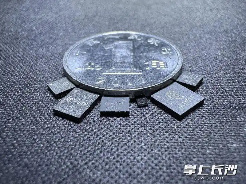 插入一顆晶片的 逆襲章節(jié)：.jpg