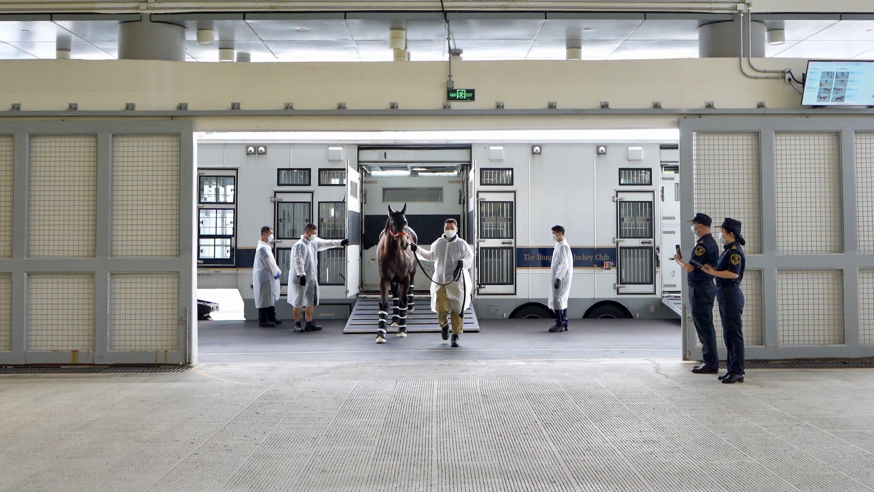 圖為：香港賽馬會(huì)運(yùn)送粵港跨境馬匹的車輛?？亢ｊP(guān)監(jiān)管查驗(yàn)平臺(tái)，廣州海關(guān)所屬從化海關(guān)關(guān)員對(duì)進(jìn)境馬匹進(jìn)行監(jiān)管（韓建全 攝）.jpg