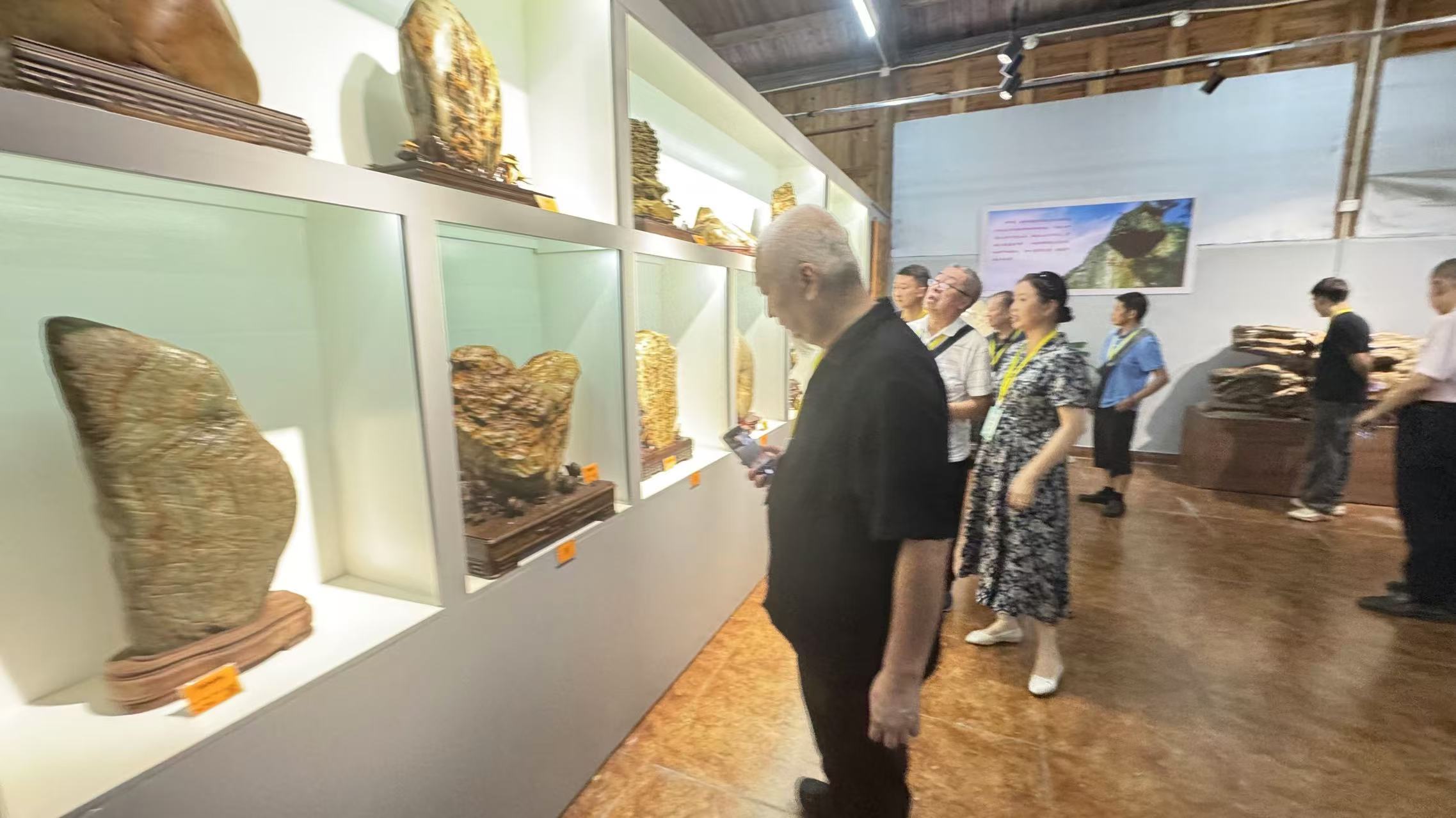 圖四：九地市奇石聯(lián)展.jpg