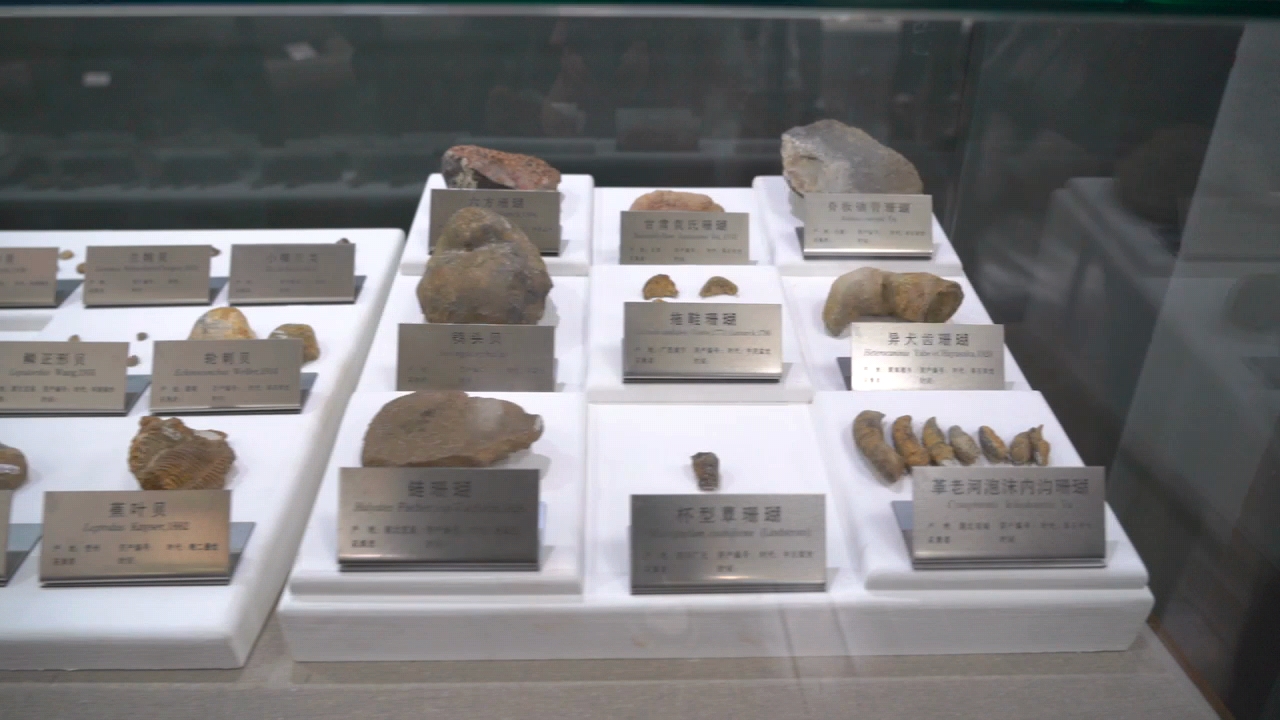 圖說二：絢麗多彩的寶石礦物 郭家源 攝.jpg