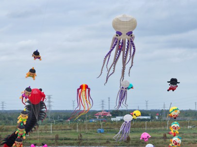 圖1:全國風(fēng)箏邀請賽.jpg