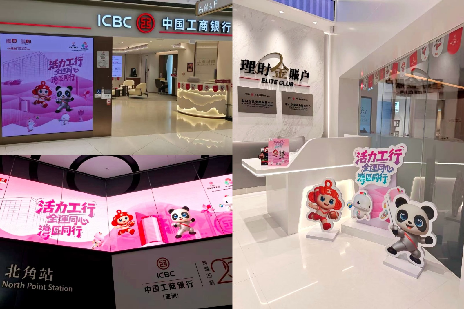 WhatsApp Image 2025-11-07 at 20.06.03.jpeg