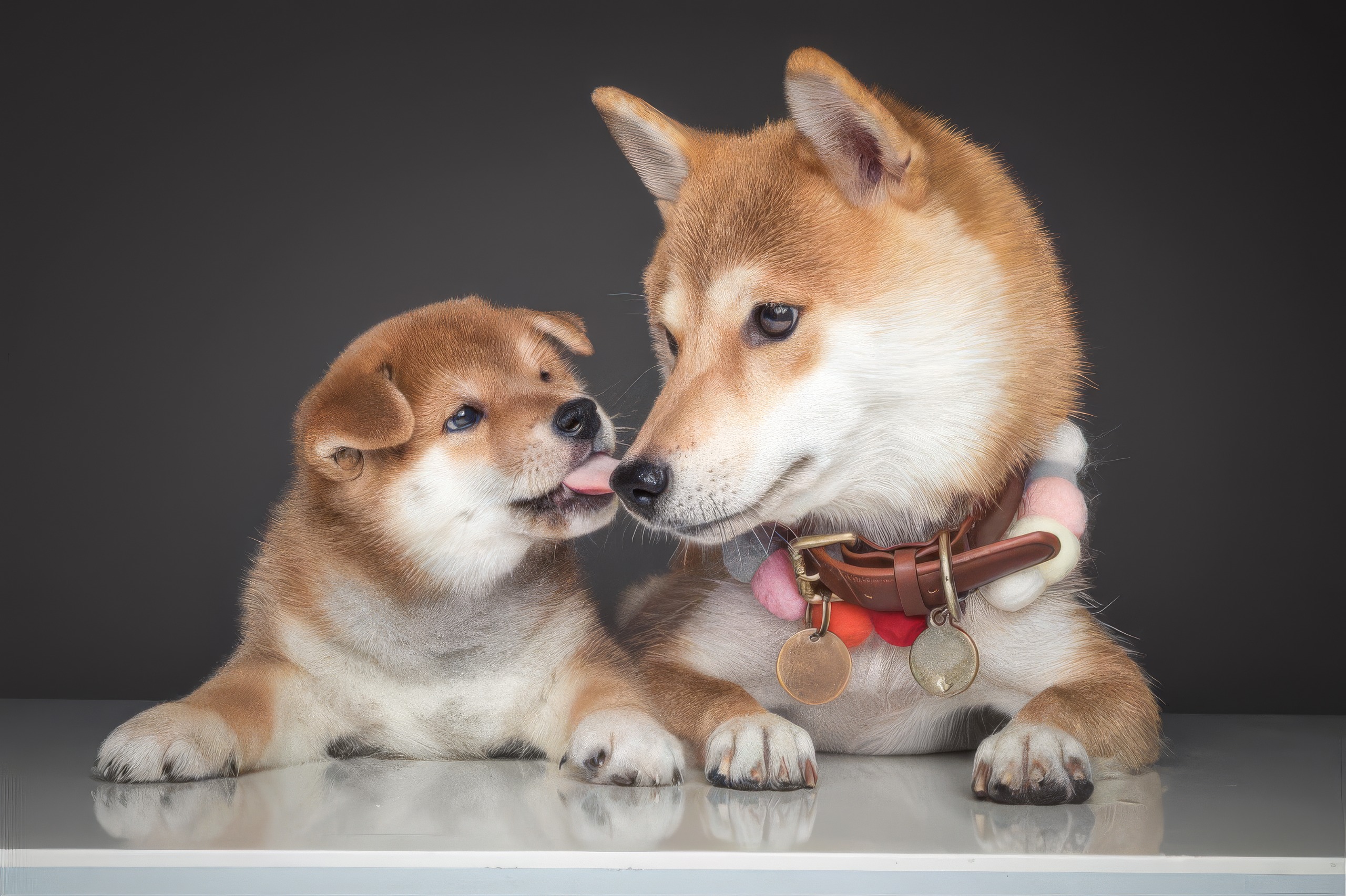 WhatsApp Image 2025-12-04 at 20.14.37 (4).jpeg