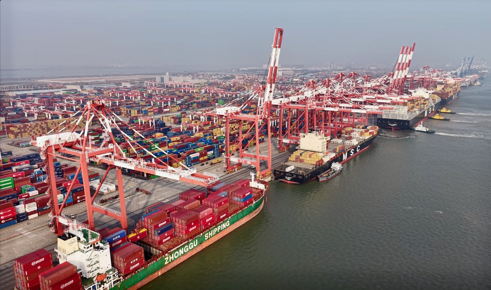 圖為：國際貨輪?？繌V州港南沙港區(qū)裝卸貨物 （韓建全 攝）.jpg